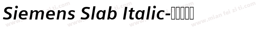 Siemens Slab Italic字体转换